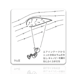 パラグライダーの構造